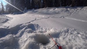 Я ВСЕГДА МЕЧТАЛ ПОПАСТЬ НА ТАКУЮ РЫБАЛКУ! РЫБАЛКА - МЕЧТА РЫБАКА. ЗИМНЯЯ РЫБАЛКА 2021.