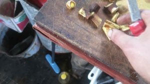 Внимание ГРИБЫ Дальний Восток Охотское море Жизнь в лесу ч61 1 сентябрь 2022