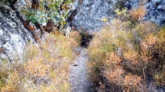 Космос,долина Рая,лестница тавров смотреть онлайн