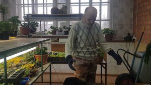 Сезон 2023 ,  в действии. Сад Н. Дементьева.