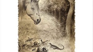 "Сказка То, чего не было"  Всеволода Гаршина