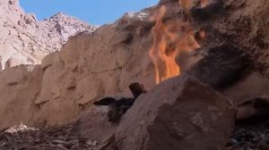 Фильм 3. Синайский отшельник