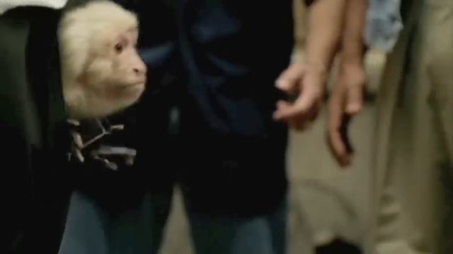 Bruce Almighty (7/9) Best Movie Quote - Anal Dwelling Butt Monkey (2003) смотреть онлайн