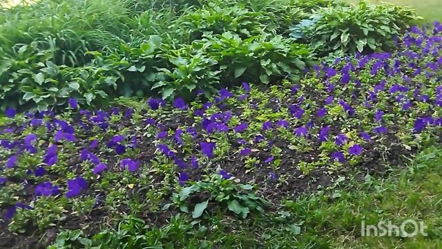 ПО ДОРОГЕ ОТ ХРАМА ДОМОЙ смотреть онлайн