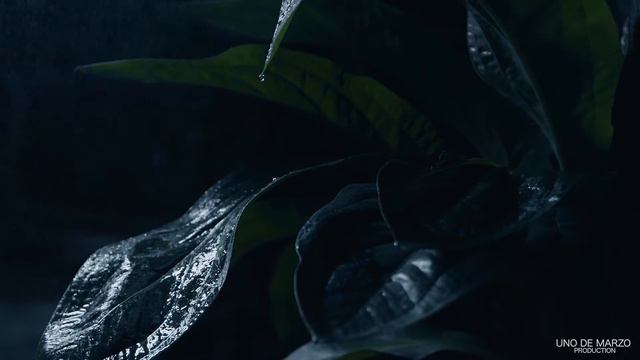 Аня Бузова - буна / Anna Buzova - buna cosmetics ( UNO DE MARZO Production ) смотреть онлайн