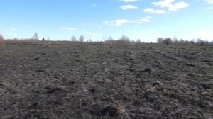 ИЩЕМ СЛЕДЫ ДРЕВНОСТИ / В ПОИСКАХ УДЕЛЬНОЙ ЧЕШУИ - 1 ЧАСТЬ