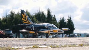 Vpechatlenie Высший пилотаж на L 39