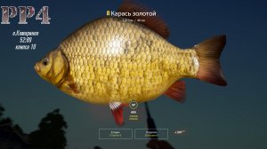 РР4-о.Комариное, Золотой Карась