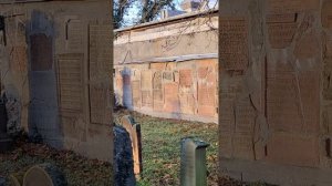 Сохранение надгробных плит. Город Вормс Германия, еврейское кладбище 28.12.22.