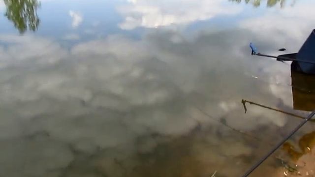 платная рыбалка в ПИРОГОВО - Коргашино смотреть онлайн