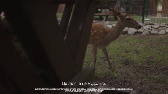 Работник зоопарка. Истории о тех, кто делает Харьков лучше | 23 августа Харькову 367 лет смотреть онлайн