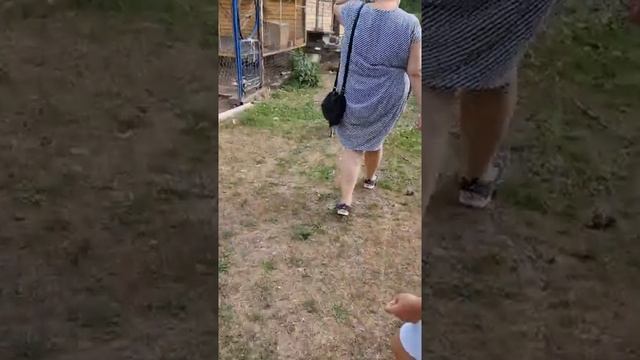 КФХ Пасека! Покупаем мёд в Медовый спас / МО Орехово Зуево