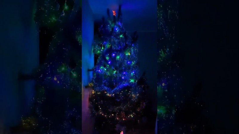 Самое интересное ☃️  в середине видео