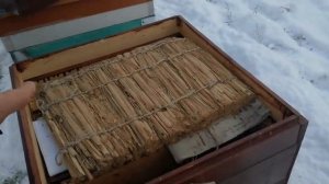 Наиболее правильная зимовка пчёл на глухом дне.