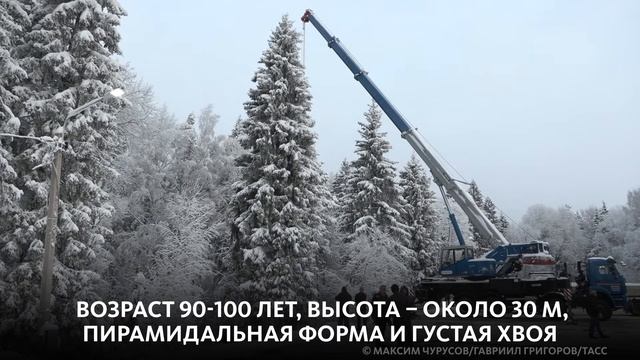 В КРЕМЛЬ ПРИВЕЗЛИ ГЛАВНУЮ НОВОГОДНЮЮ ЕЛЬ СТРАНЫ