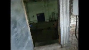 Пеллеты из лузги овса и риса