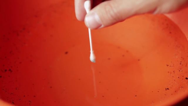 Veritasium похожи ли эти жидкости на живые смотреть онлайн