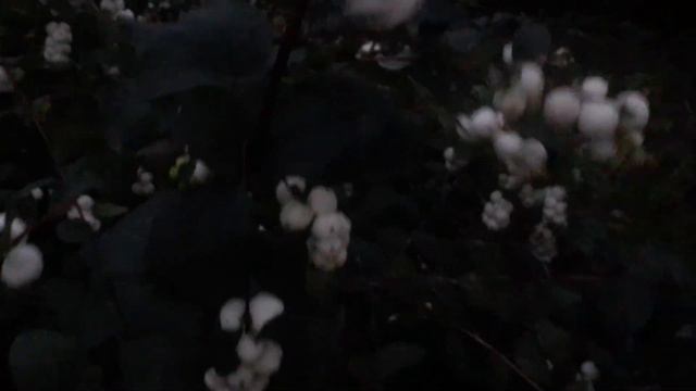 Как живут в деревне.Едем  поздравлять🎂🥂💃влог.