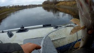 Спиннинговая рыбалка на реке сосьва 6.10.2023( Монастырка)