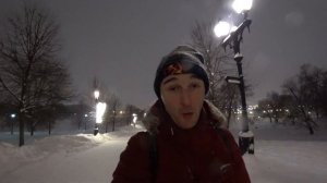Новогодняя Москва 2024: новогодний парк Царицыно зимой