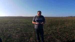 Сеялка зерновая прямого посева СИЧ лучше Грейт Плейнс - Про100Фермер