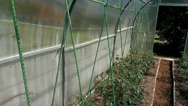 Колышки из стекловолокна для подвязки помидоров.