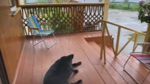 Обзор дома в селе Введенщина.