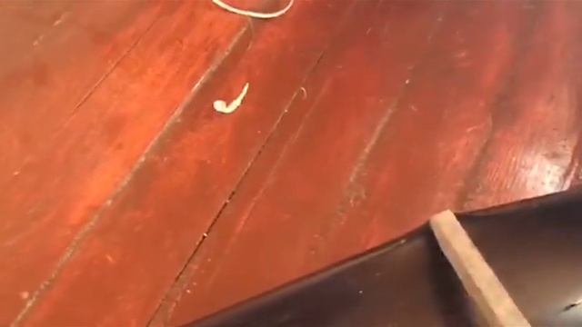 Практически бесплатно грядка и парник на Вашем подоконнике смотреть онлайн