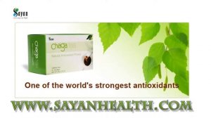 What is Chaga Mushroom? chaga mushroon extract