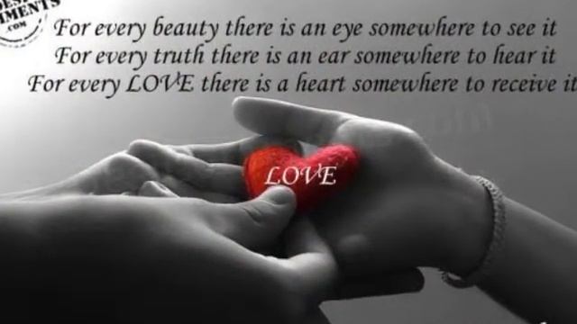 My Love is Here смотреть онлайн