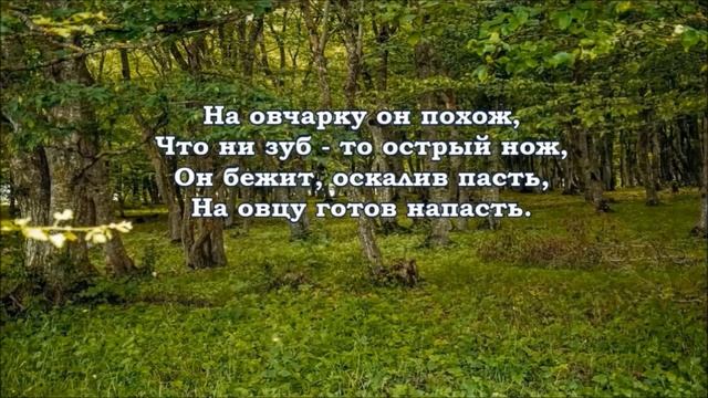 Загадки о диких лесных животных в средней группе смотреть онлайн