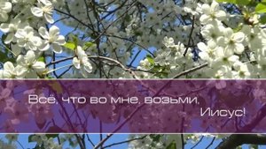 Христианское поклонение. Сборник №59