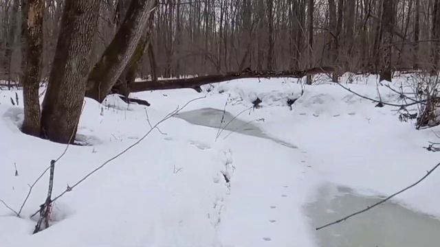 р.Красная речка смотреть онлайн