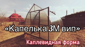 КАПЕЛЬКА 3М ВИП. ТЕПЛИЦА С ДВОЙНЫМИ  АРКАМИ.