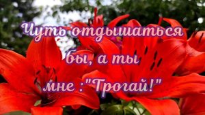 Ну что,судьба, давай поговорим... Трогательные стихи для души.