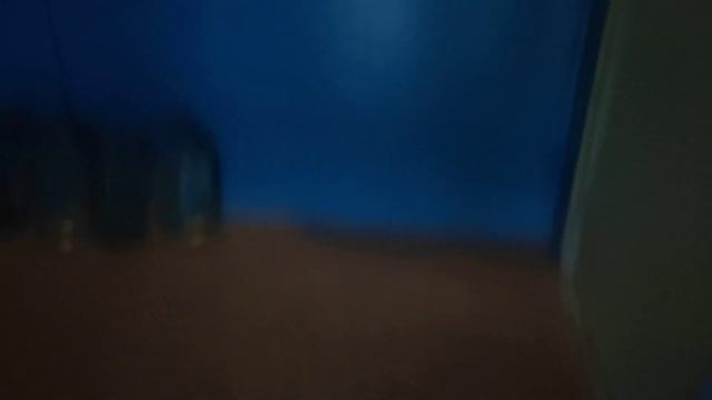 Лифт МЛЗ после замены купе, Г/П 320 кг, V=0,71 м/сек (Набережная Победы, 108к4, г. Днепропетровск) смотреть онлайн