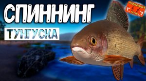 РР4/ рыбалка для души, ловим как универсал, общаемся 28.02.24