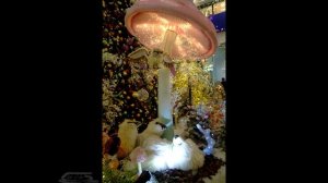 грибы  релакс