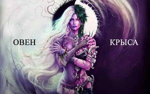 Совмещение гороскопов.  Крыса овен