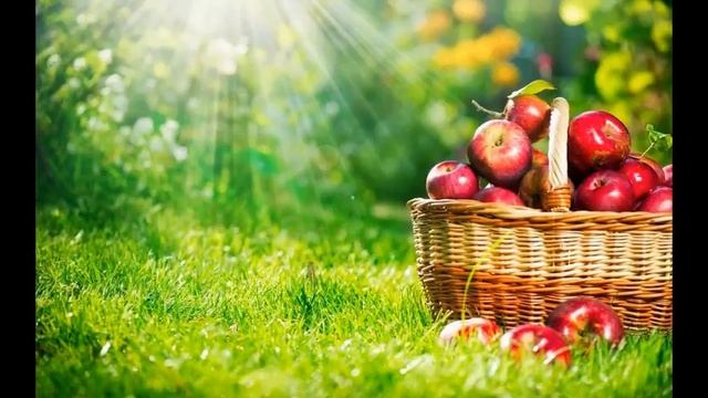 сыроедение живая кухня большая книга рецептов