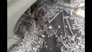 РЕГИУС ЗАМЕНА ПДШИПНИКА НА МЕСТЕ НЕ СНИМАЯ СТУПИЦИ