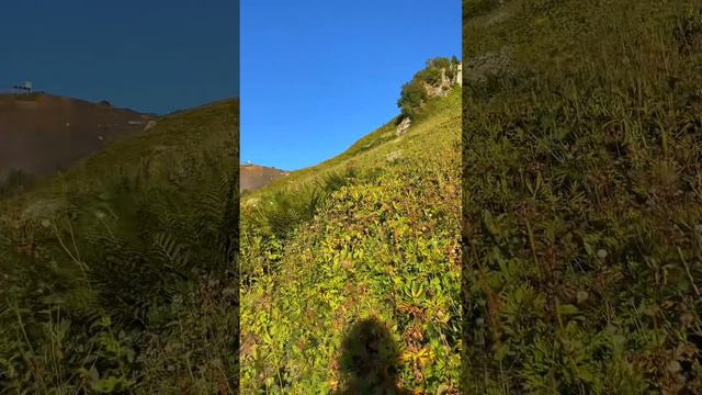 © Слов нет, одни эмоции смотреть онлайн