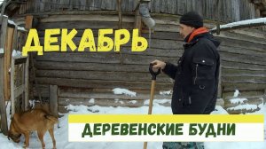 ЖИЗНЬ В ДЕРЕВНЕ