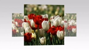 Джеймс Ласт " Вечер вдвоем"