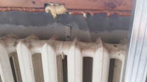 А нужно ли утеплять балкон? Плесень!