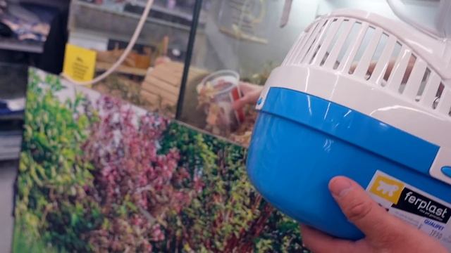 ВЛОГ : КУПИЛИ НОВОГО ХОМЯКА / ЗНАКОМСТВО 27.03.21 смотреть онлайн