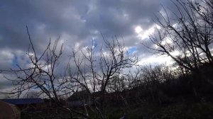 ПОГОДКА ОГОНЬ? ПЕРЕДЕЛАЛА КУЧУ ДЕЛ?  КУРОЧКИ ПОРАБОТАЛИ НА СЛАВУ??