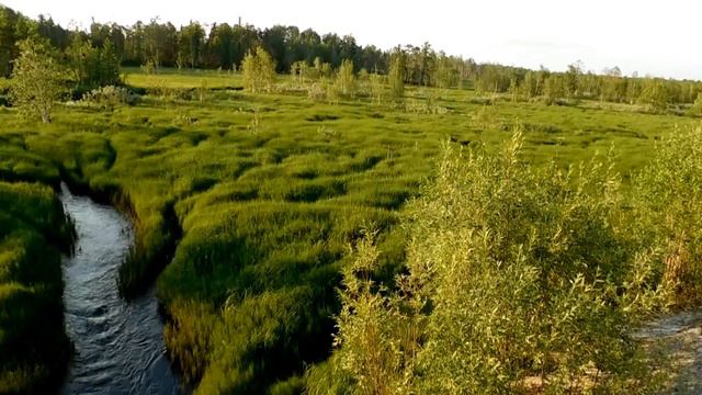 Речка в таёжном краю