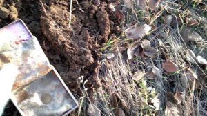 Небольшой КОП. Синхронизация Морковки с ХР ОРХ.mp4