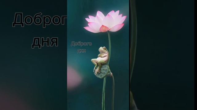 С ДОБРЫМ УТРОМ! ЗАМЕЧАТЕЛЬНОГО ДНЯ | DY-106